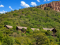 PR1809   Investment Property  for sale . House with two Chalets for sale  in Boshoek Mountain Estate Modimolle.