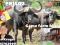 PR1502  A cut above the rest , 942 ha Game farm with 2 ha of Dragon fruit Marken Limpopo